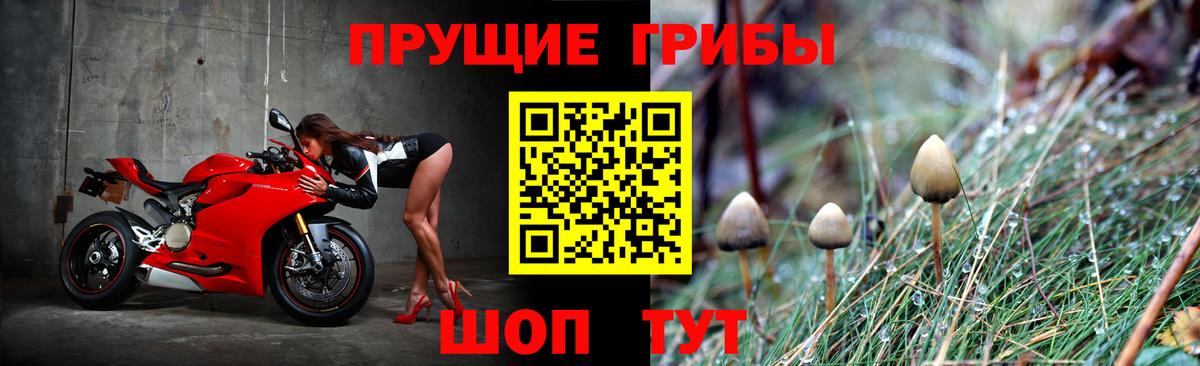 Кузнецк  Галлюциногенные грибы ЛСД  Галлюциногенные грибы MAGIC MUSHROOMS  Вход с VPN 