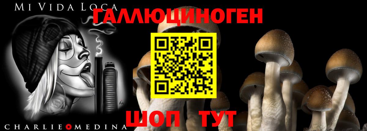 Галлюциногенные грибы ЛСД Кузнецк